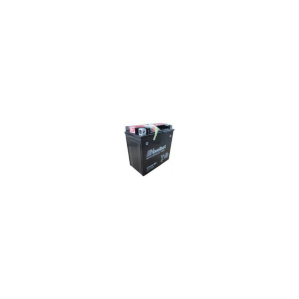 Novelbat CBTX14-BS