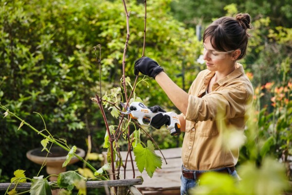 Stihl ASA 20 akkukäyttöiset oksasakset - Vuoksenautotarvike.fi